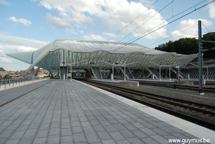 Gare Guillemins_  01.JPG